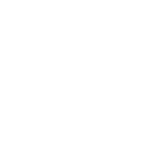 Logo officiel de l'Institut Supérieur de Design de St-Malo